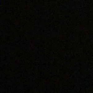 Meet your Posher, Bella